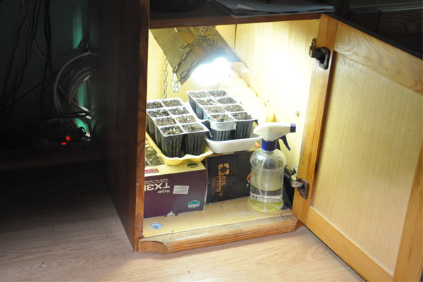 http://radiomagnum.rs/wp-content/uploads/2016/03/Marihuana-BOR3.jpg